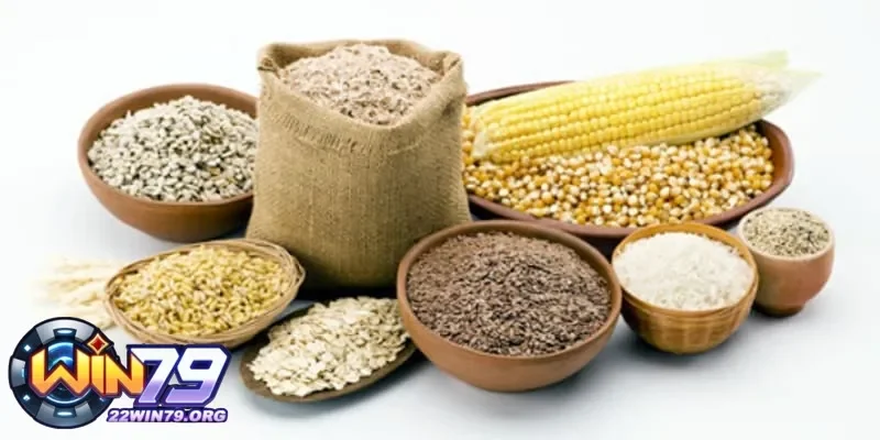 Những thực phẩm dành cho gà trước khi đá cho ăn gì