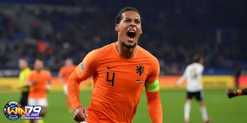 Thành tích mà Đội tuyển Netherlands đã giành được