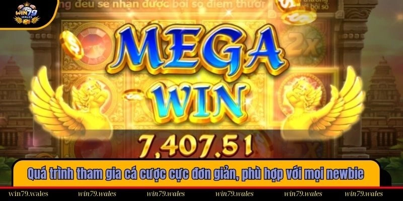 Quá trình tham gia cá cược cực đơn giản, phù hợp với mọi newbie