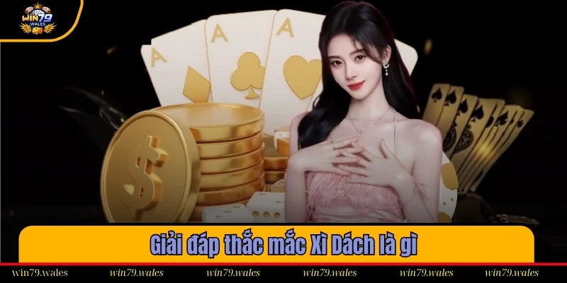 Giải đáp thắc mắc Xì Dách là gì của nhiều tân binh